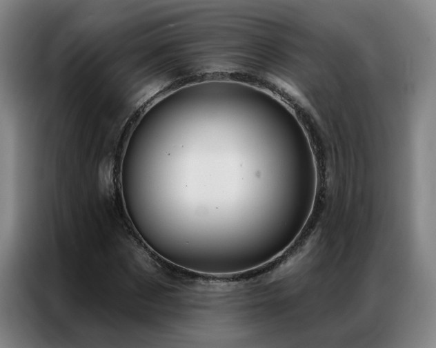 X0000087380873200704201243