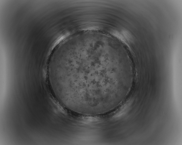X0000087380874200704201243
