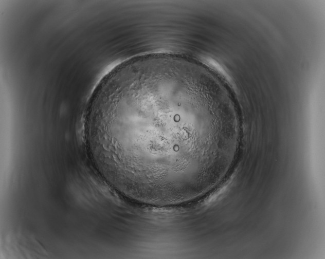 X0000087380875200704201243