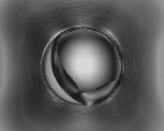 X0000087380876200704201243