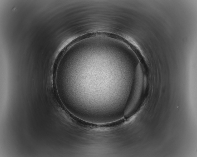 X0000087380877200704201243