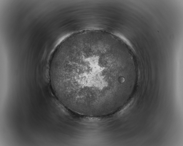 X0000087380878200704201243