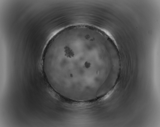 X0000087380879200704201243