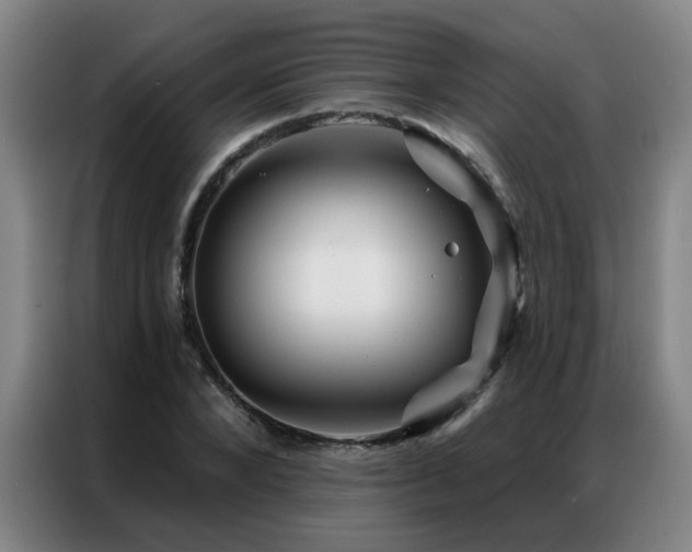 X0000087380880200704201243