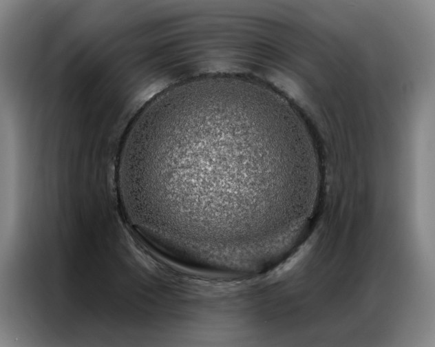 X0000087380881200704201243