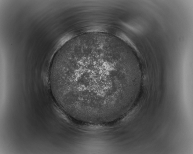 X0000087380882200704201243