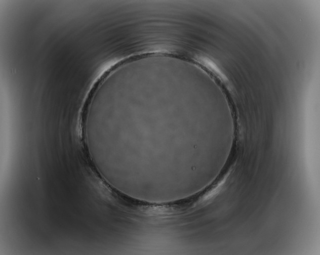 X0000087380883200704201243