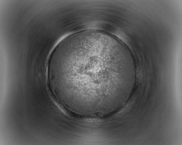 X0000087380886200704201243