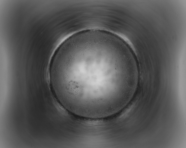 X0000087380887200704201243