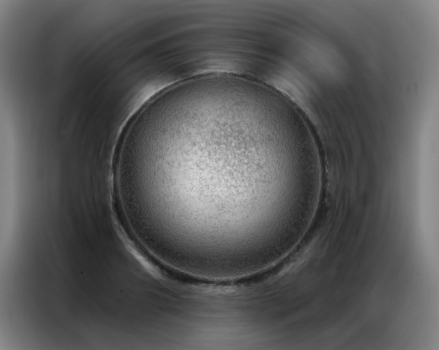 X0000087380890200704201243