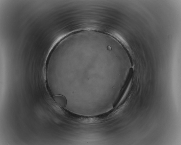 X0000087380891200704201243