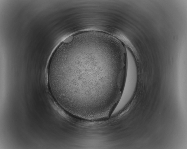 X0000087380892200704201243