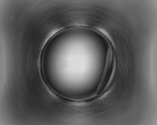 X0000087380893200704201243