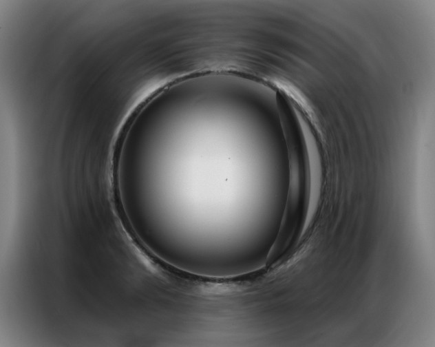 X0000087380894200704201243