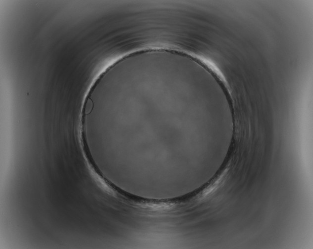 X0000087380895200704201243
