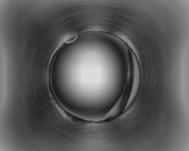 X0000087380898200704201243