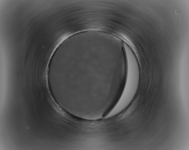 X0000087380899200704201243
