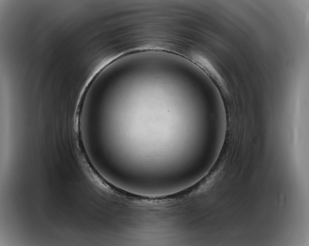 X0000087380900200704201243