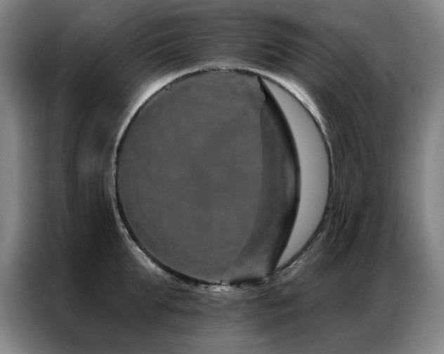 X0000087380903200704201243