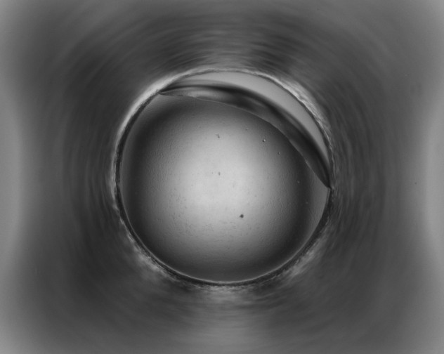 X0000087380904200704201243