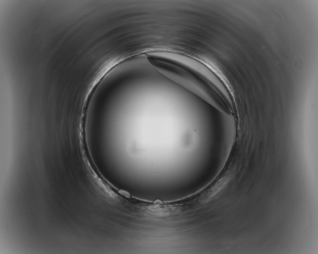 X0000087380906200704201243