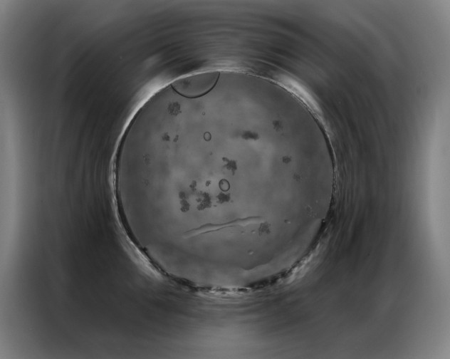 X0000087380907200704201243