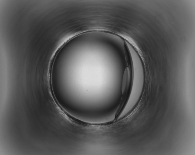 X0000087380910200704201243