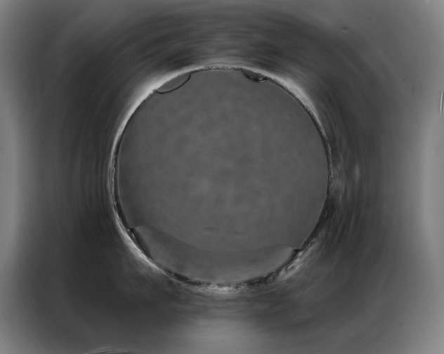 X0000087380911200704201243
