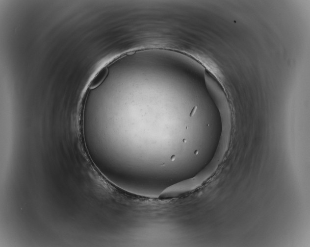 X0000087380912200704201243