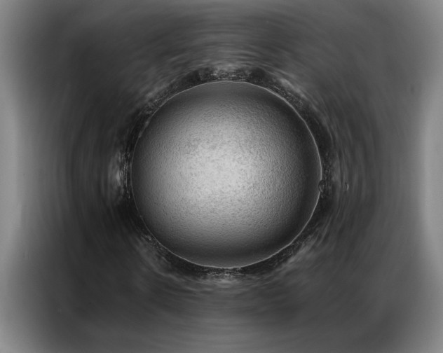 X0000087380914200704201243