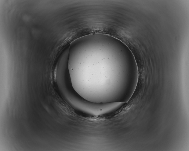X0000087380916200704201243