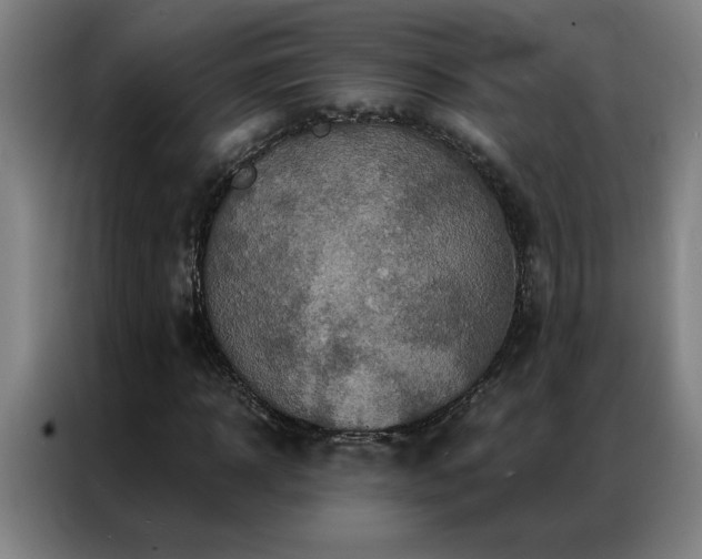 X0000087380918200704201243
