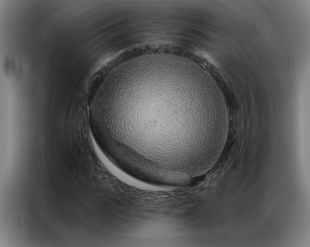 X0000087380919200704201243