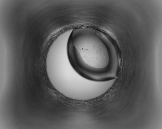 X0000087380920200704201243