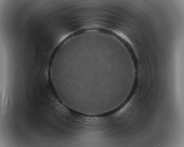 X0000087380921200704201243