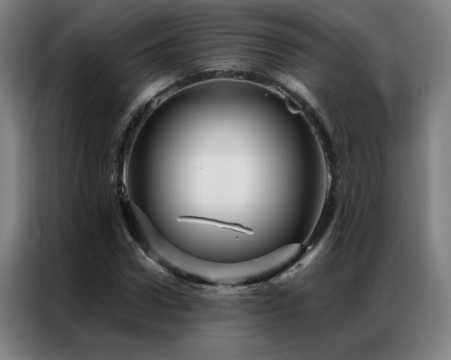 X0000087380922200704201243