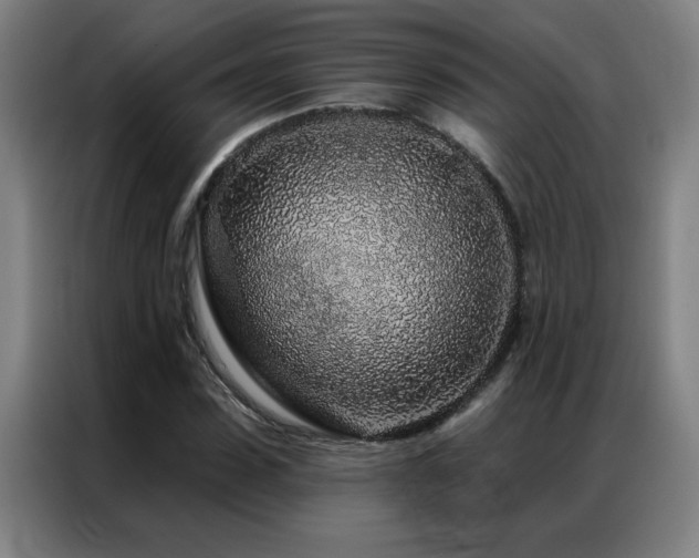 X0000087380923200704201243