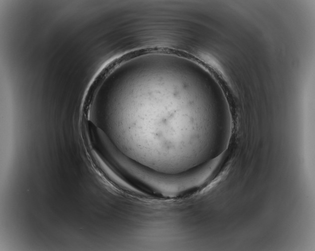 X0000087380924200704201243