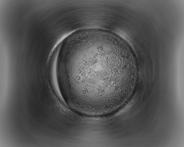 X0000087380925200704201243