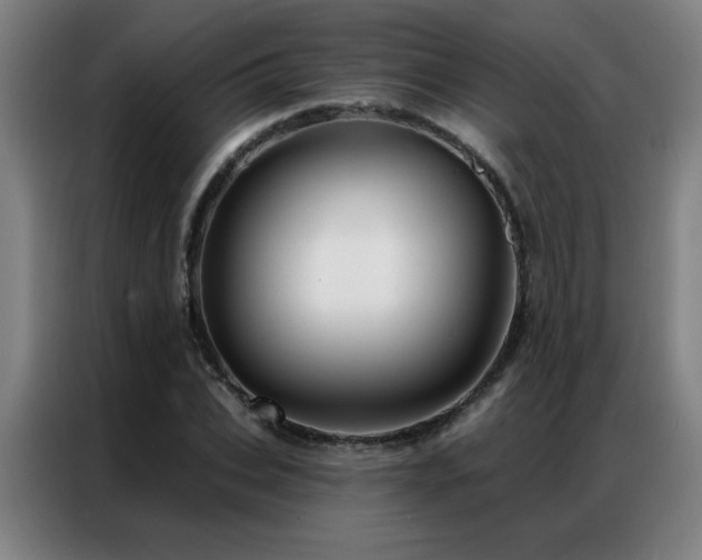 X0000087380927200704201243