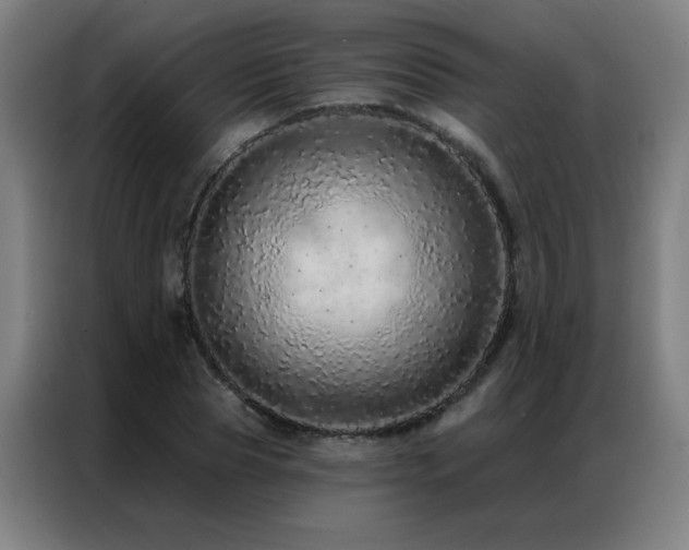 X0000087380929200704201243