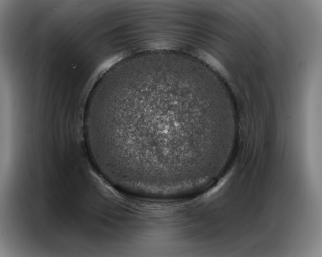 X0000087380930200704201243