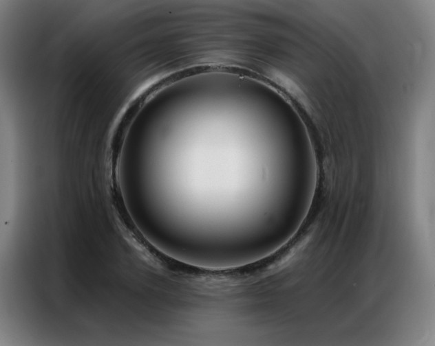 X0000087380931200704201243