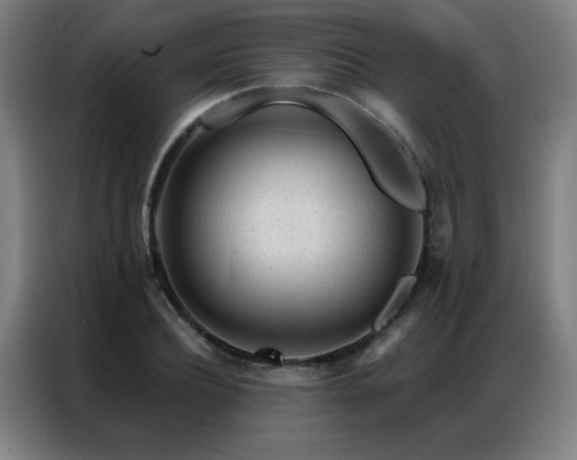 X0000087380932200704201243