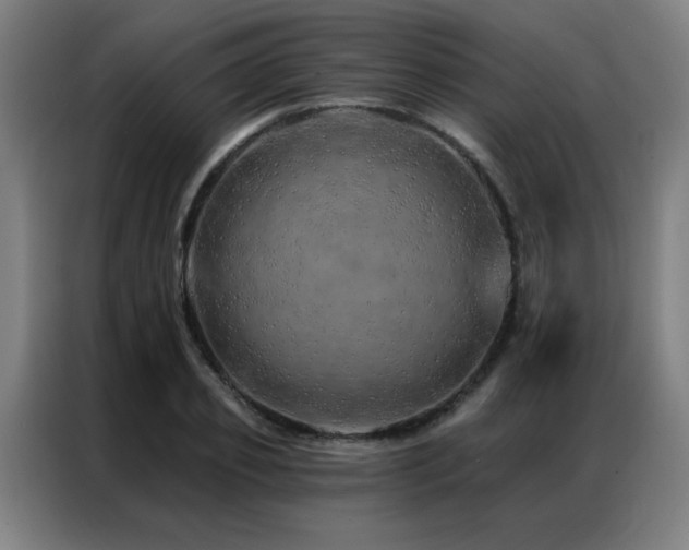 X0000087380933200704201243