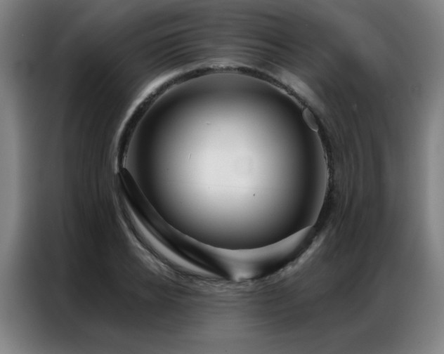 X0000087380934200704201243
