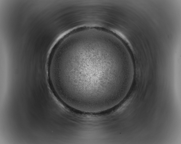 X0000087380935200704201243