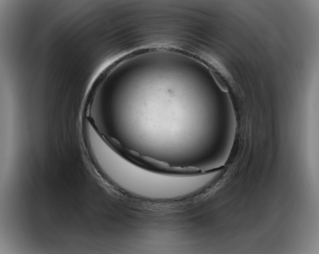X0000087380936200704201243