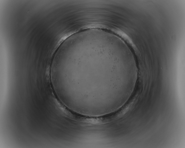 X0000087380937200704201243