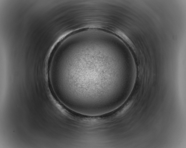 X0000087380939200704201243